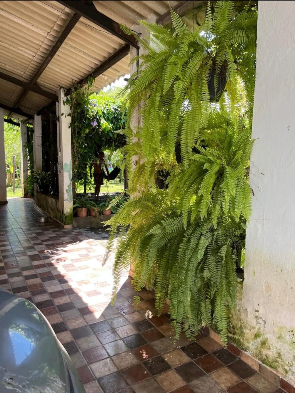 Chacara Completa Com Piscina ,2 Quartos, 20 Pessoas Itariri Eksteriør billede